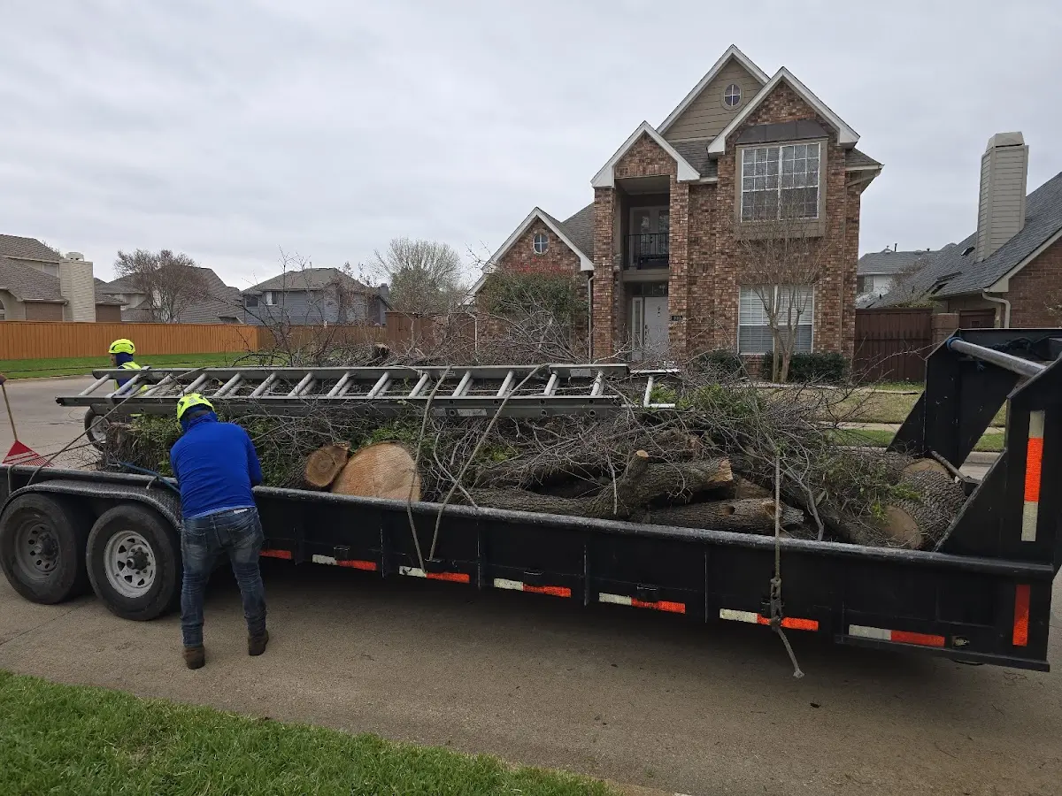 Expert Lot Clearing with proper safety equipment in Eola